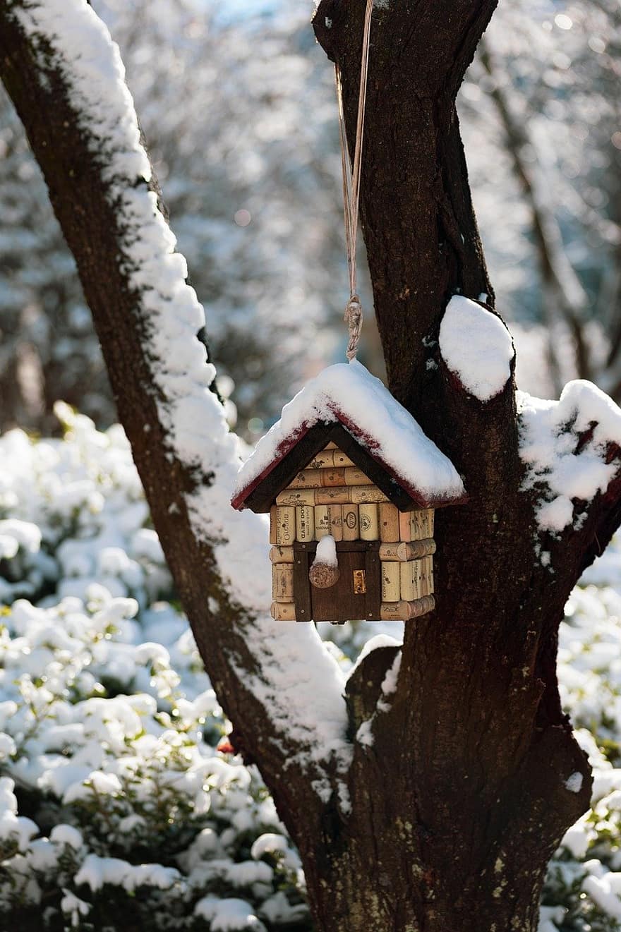 hiver, neige, maison, la nature, Matin, arbre, nichoir, bois, saison, branche, forêt