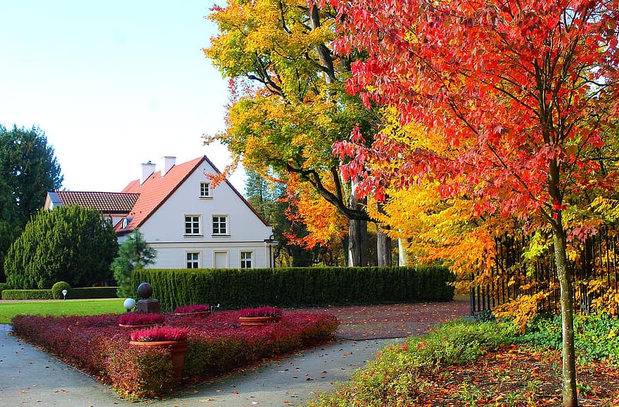 パーク、木、秋、植物、ヘッジ、風景、葉、家、村