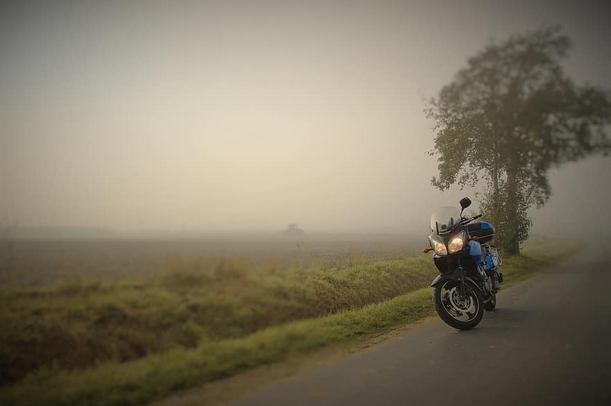 Motorcycle, Road, Tree, Grass, Mystery, Fun