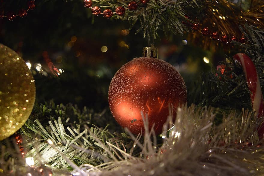 Weihnachtsbaum, Ornamente, Beleuchtung, Weihnachten, Winter, Dekoration, Weihnachtsdekorationen