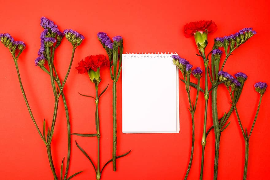 bloemen, achtergrond, blocnote, notitieboekje, papier, zee lavendel, statice, anjer, bloemblaadjes, bloeien, bladeren