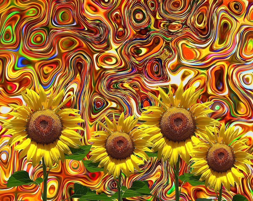 слънчоглед, лято, слънце, жълт, цвете, цвят, разцвет, растение, природа, градина, късно лято