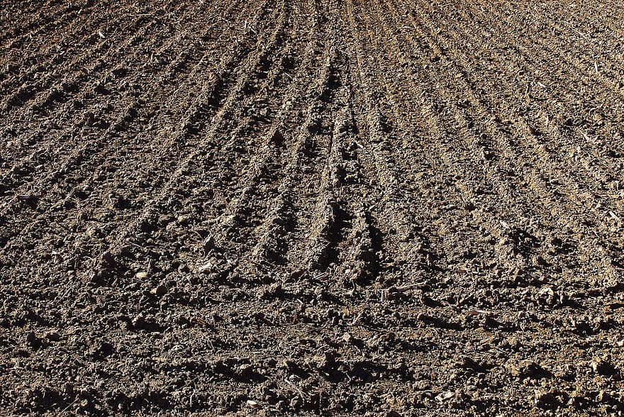 Fields, Plowed Fields, Cultivation, Agriculture, Farming