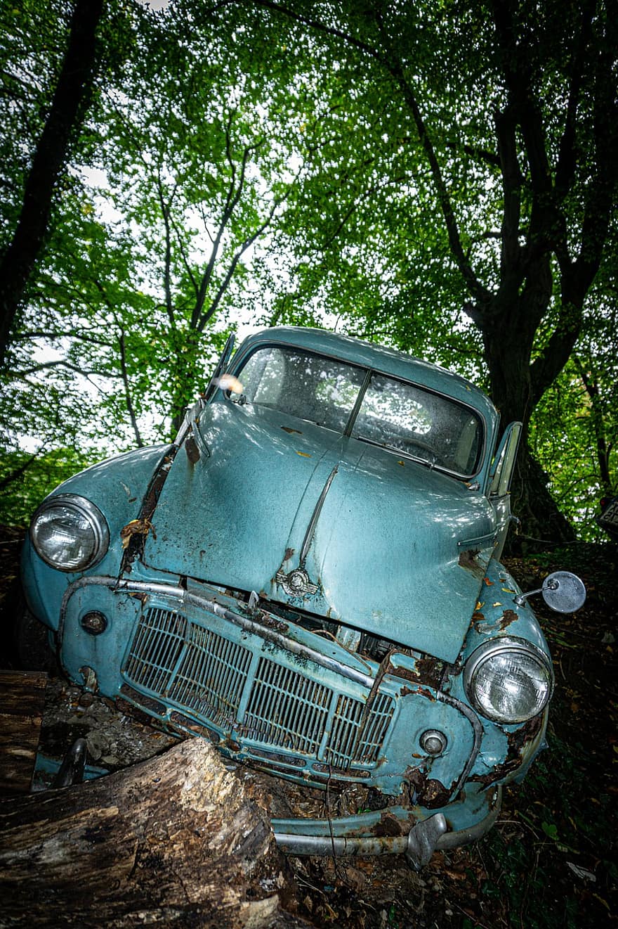 antik autó, elhagyott autó, erdő