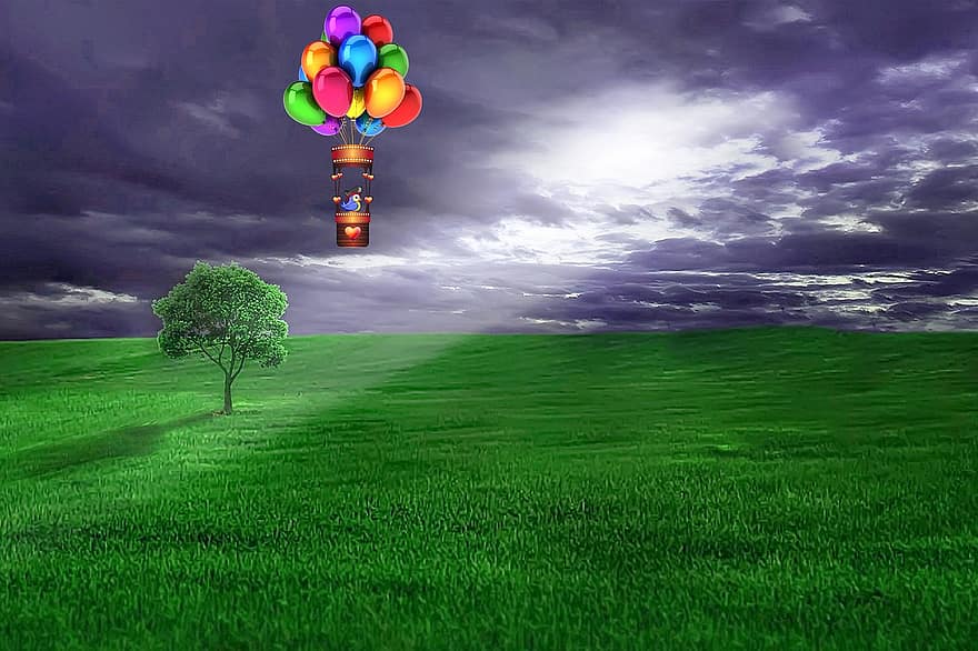 természet, hőlégballon, fa, fű, napnyugta, Napsugár, macska, állat, ballon, tájkép, ég