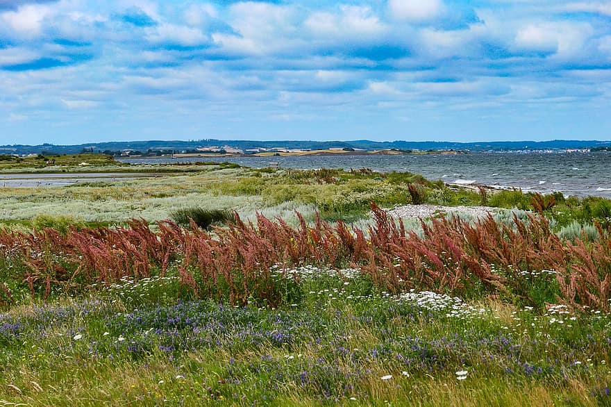 arquipélago do sul do funen, Prado, ilha, Dinamarca, Mar Báltico, natureza, panorama