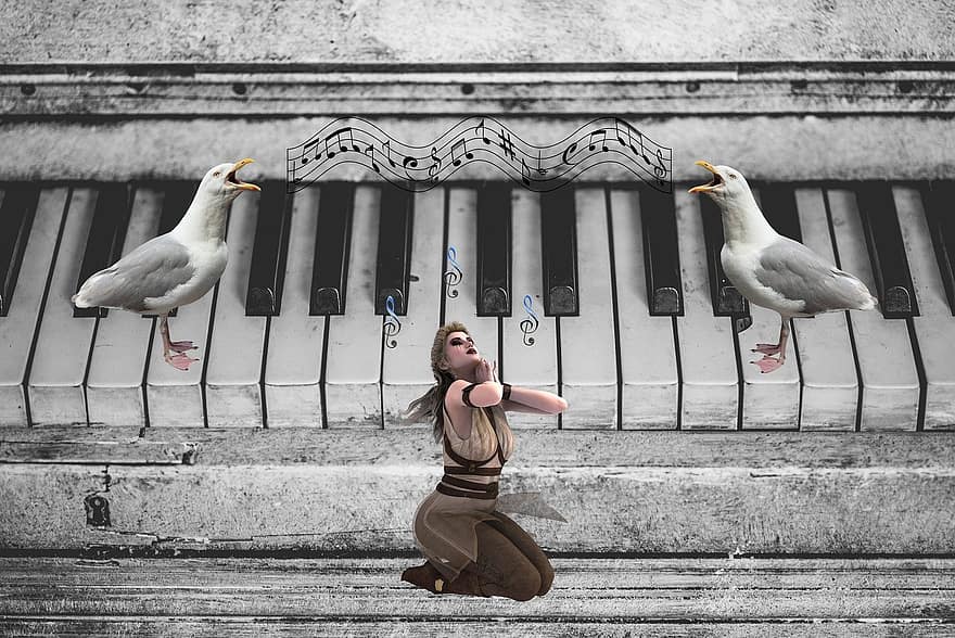 Piano, Music, Woman, Keys Of A Piano, Seagulls, Birds, Musical Instrument, one person, women, lifestyles, adult