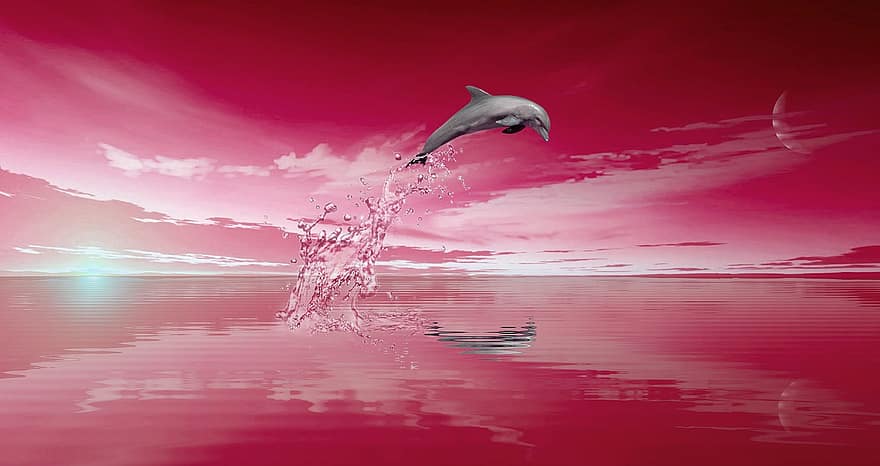 mammifère, dauphin, mer, tranquille, faune, calme, la nature, saut de dauphin, paysage, ciel, scénique