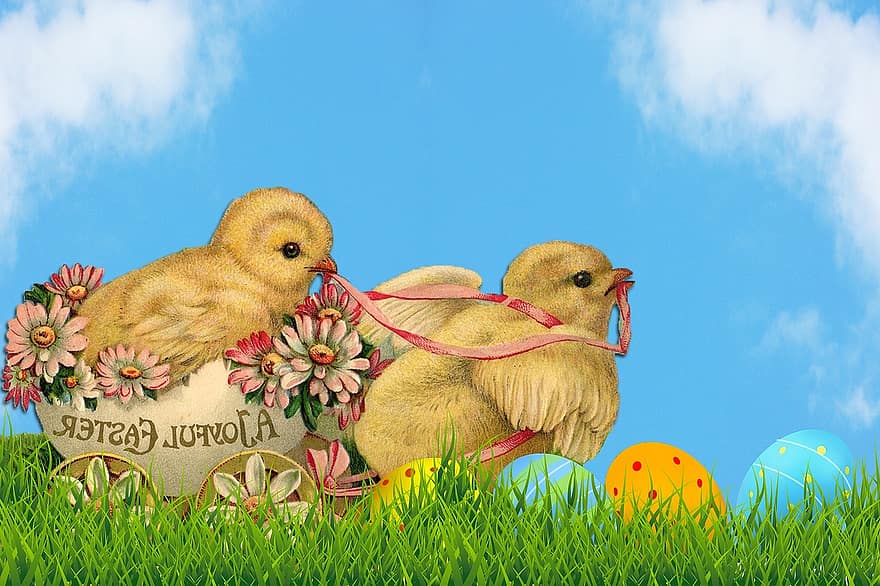Pascua de Resurrección, tarjeta, tarjeta de pascua, pollitos, vendimia, huevos, huevos de Pascua, linda, azul, cielo, verde