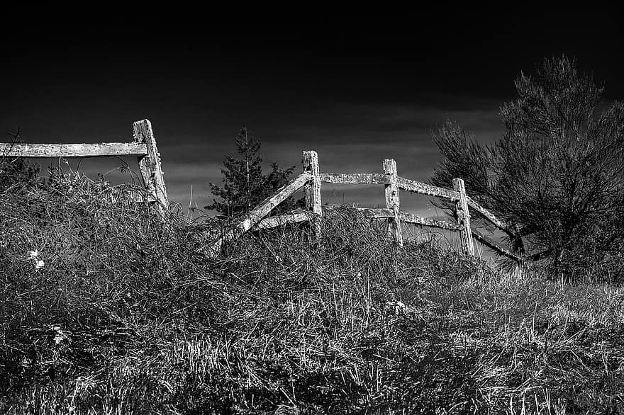 pagar kayu, hitam dan putih