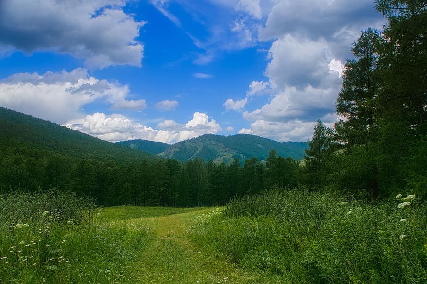 bjerge, Skov, himmel, natur, Rusland, rejse, turisme, ferie, atmosfære, landskab, Khakassia