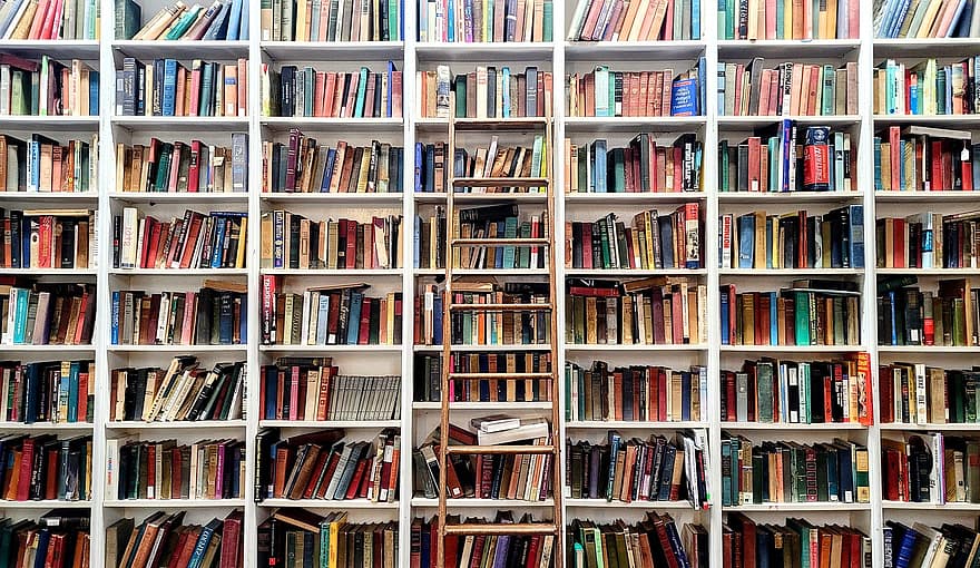 libros, biblioteca, escalera, libro, estante para libros, educación, estante, adentro, investigación, aprendizaje, literatura