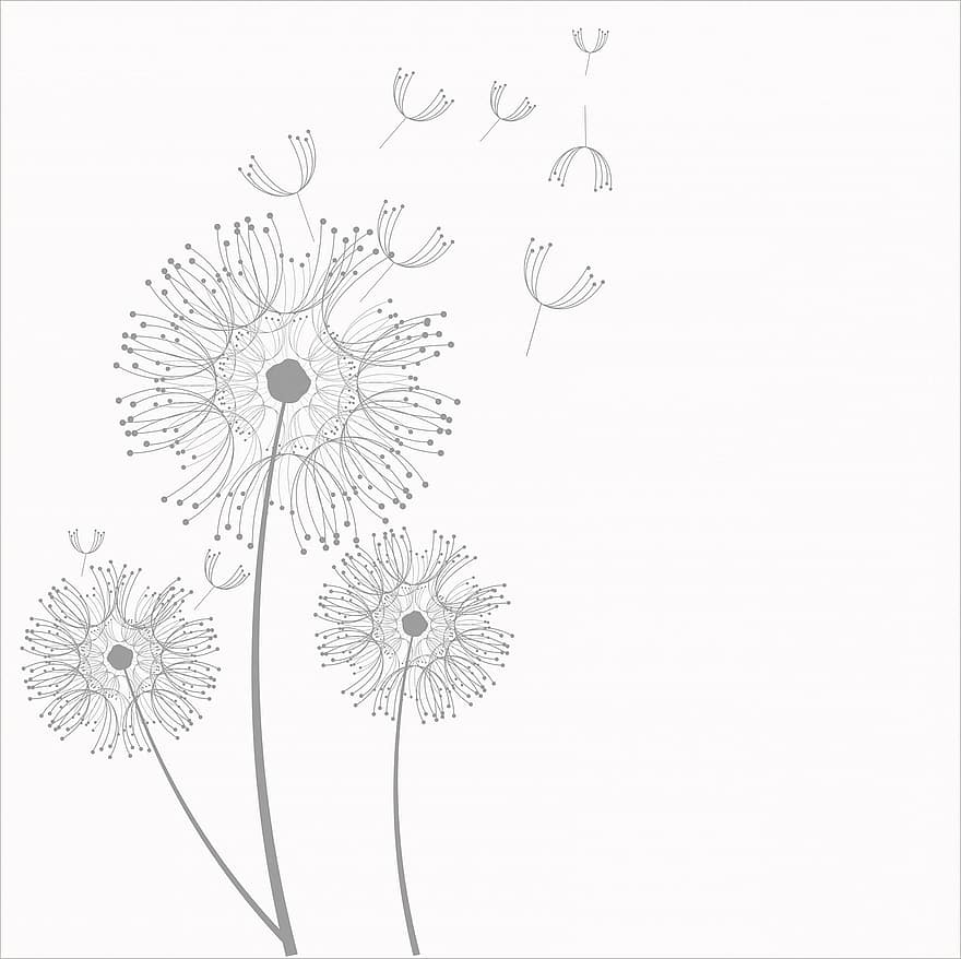 dandelion, सिंहपर्णी, फूल, कश, फ्लाइंग, उड़ाने, कला, सुंदर, पौधा