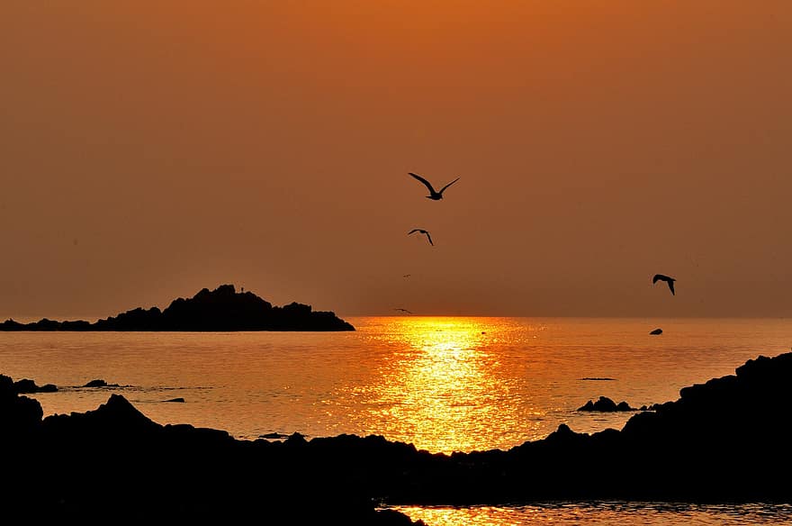 zee, zonsondergang, silhouet, zeegezicht, Oranje lucht, oceaan, horizon, eiland, landschap, toneel-