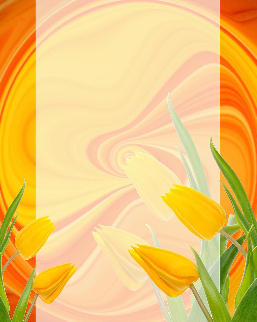 Páscoa, tulipas, oval, fundo, papelaria, cartão, laranja, amarelo, Primavera, aniversário, abstrato