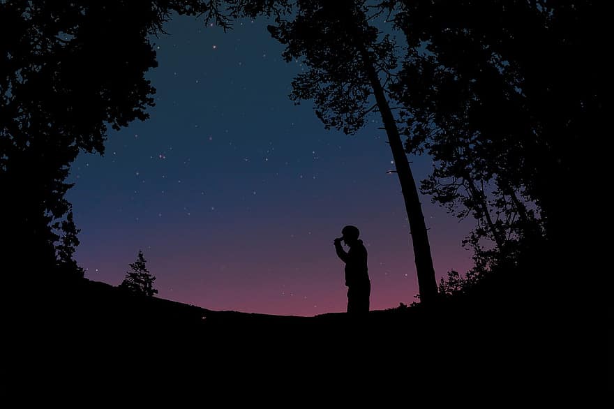 om, siluetă, stele, noapte, bărbați, cu iluminare din spate, copac, apus de soare, femei, o persoana, ilustrare