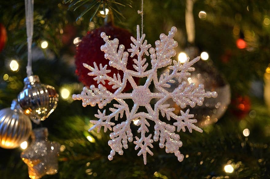 motif natal, pohon Natal, kepingan salju, cabang cemara, hari Natal, suasana Natal, dekorasi pohon natal, dekorasi Natal, waktu Natal, musim festivalku