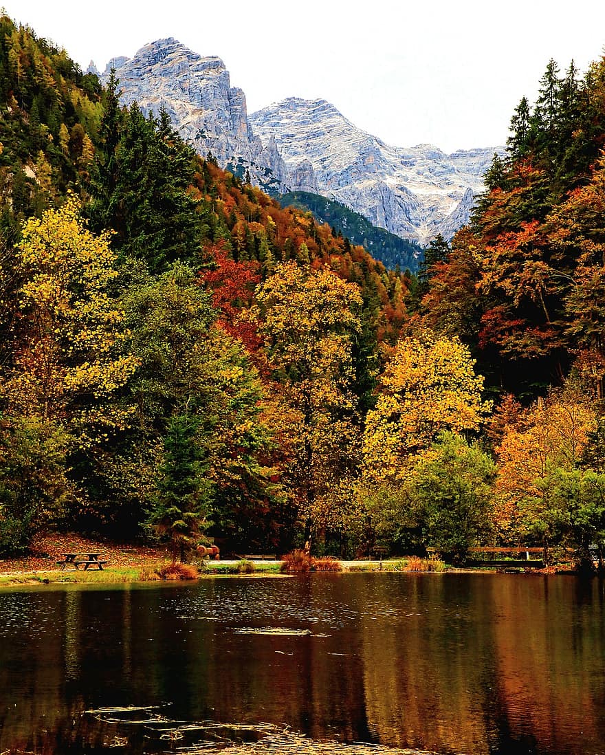 tó, fák, esik, erdő, hegyek, ősz, levelek, őszi színek, visszaverődés, víz, hegység