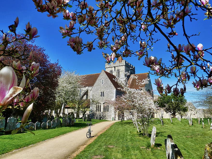Church, Graveyard, Cemetery, Burial Ground, tree, architecture, flower, summer, springtime, famous place, building exterior