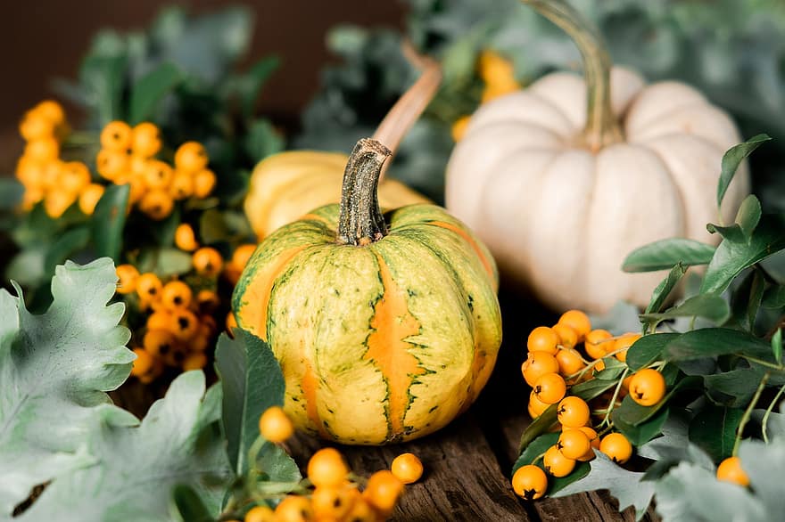 kabak, balkabağı, cadılar bayramı, sonbahar, meyve, Ekim, Gıda, hasat, dekorasyon, şükran Günü, sezon