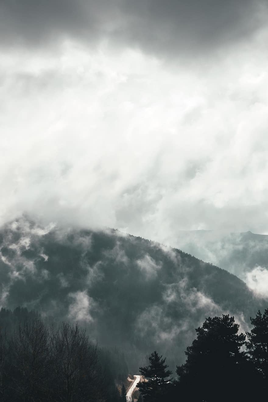 névoa, nuvens, montanha, floresta, neblina, natureza