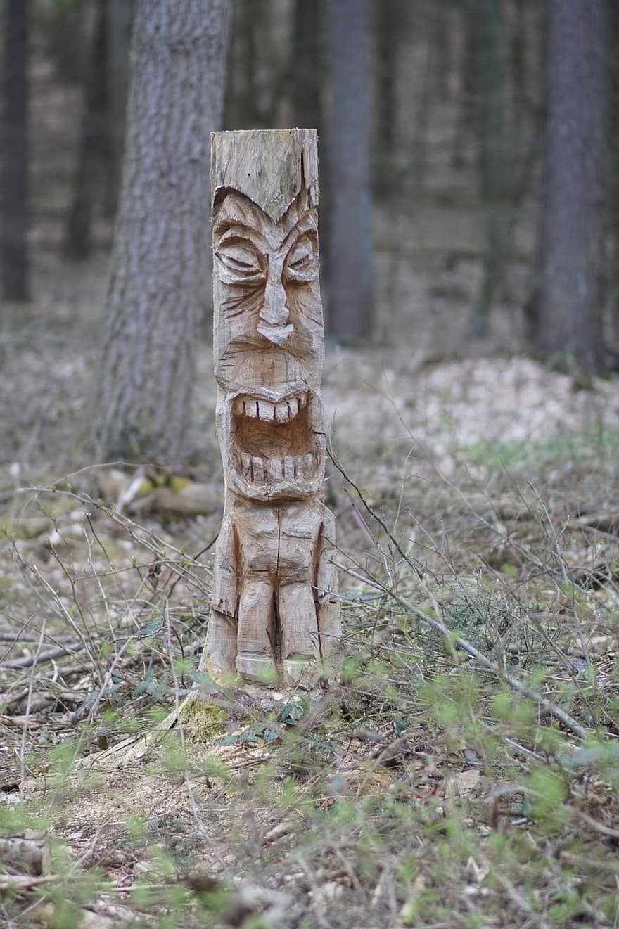 scultura, intaglio del legno, foresta, legna, ceppo, intaglio, figura