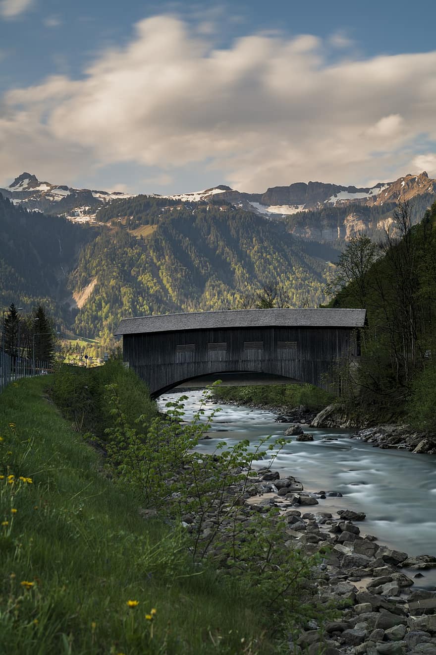 arboles, bosque, río, corriente, Arroyo, puente, paisaje, Vorarlberg, Melau