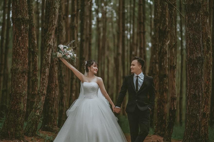 çift, düğün, orman, Güneş ışığı, ağaçlar, gelin, damat, romantik, yeni evli, düğün günü, koca