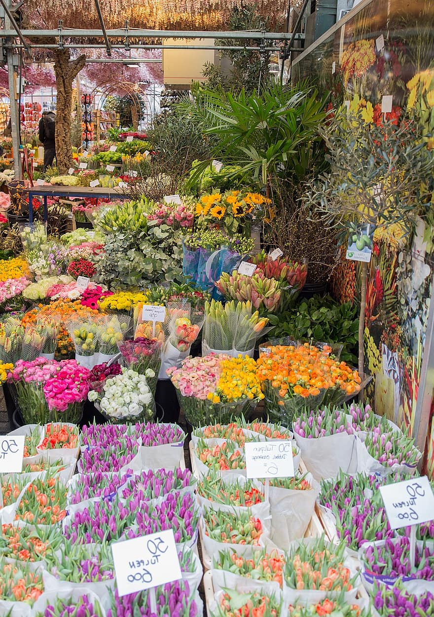 fiori, mazzo, bulbi, un mazzo di fiori, all'aperto, agricoltura, autunno, cestino, fioritura, botanica, natura
