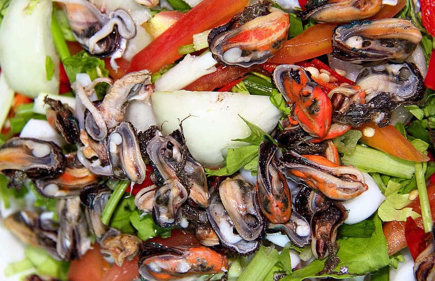 đa dạng, Món khai vị, lợi ích, calamari, ẩm thực, mực nang, thơm ngon, chế độ ăn, ăn uống, bữa tối, món ăn