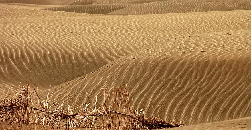 ørken, sand, landskap, dyner, sanddyner, tørke