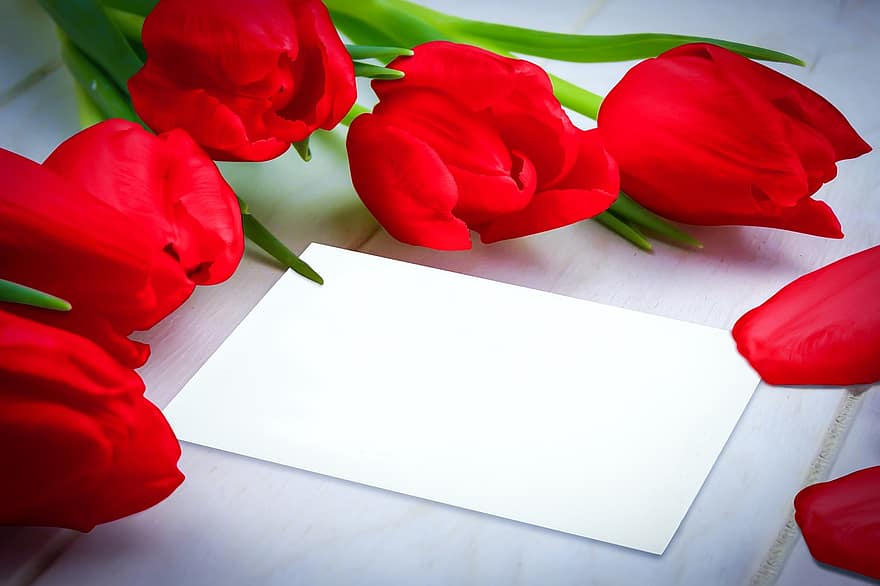 piros tulipán, piros virágok, üdvözlőlap, tulipán, Valentin nap, szerelmes levél