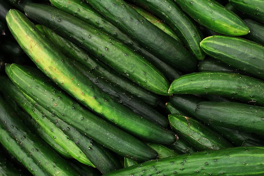Cucumber, Cucumber Background, Cucumbers, Green, The Green Background, Healthy, Food, Ingredient, Vegetable, Fresh, Background