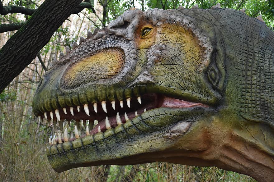 t-rex, dinossauro, estátua, exposição, Pré-histórico, tiranossauro Rex, animal, museu, alossauro, cretáceo, Hermann Park