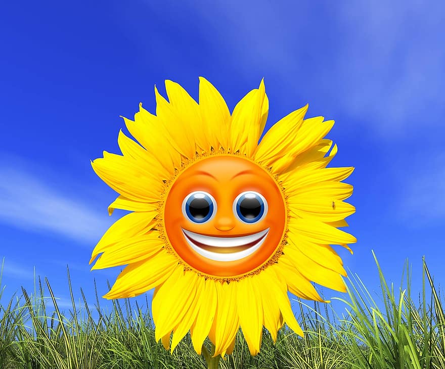 słonecznik, buźka, żółty, lato, kwiat, szczęście, Twarz, Natura, uśmiechnięty, wesoły, pole