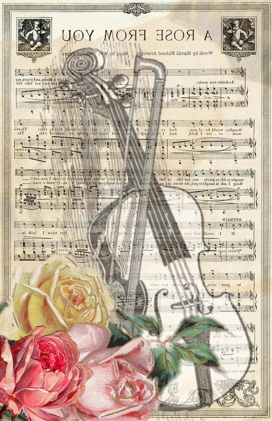 ビンテージ、バイオリン、音楽、五線紙、古い、グランジ、苦しんで、ピンクのコラージュ、バラ、バラの花束、飾った