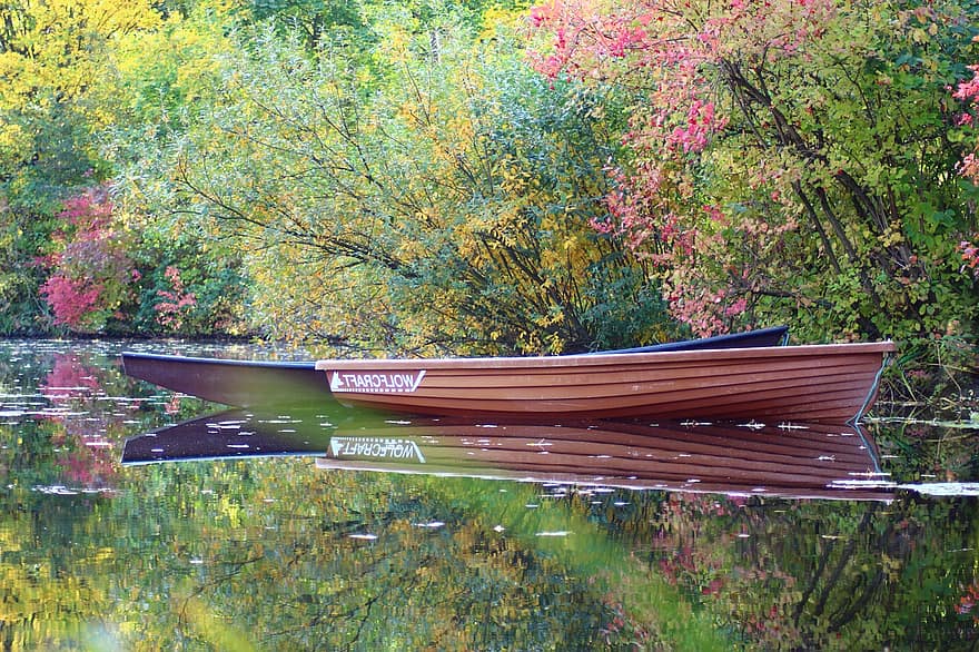 barcă, copac, pădure, natură, apă, reflecţie, abstract
