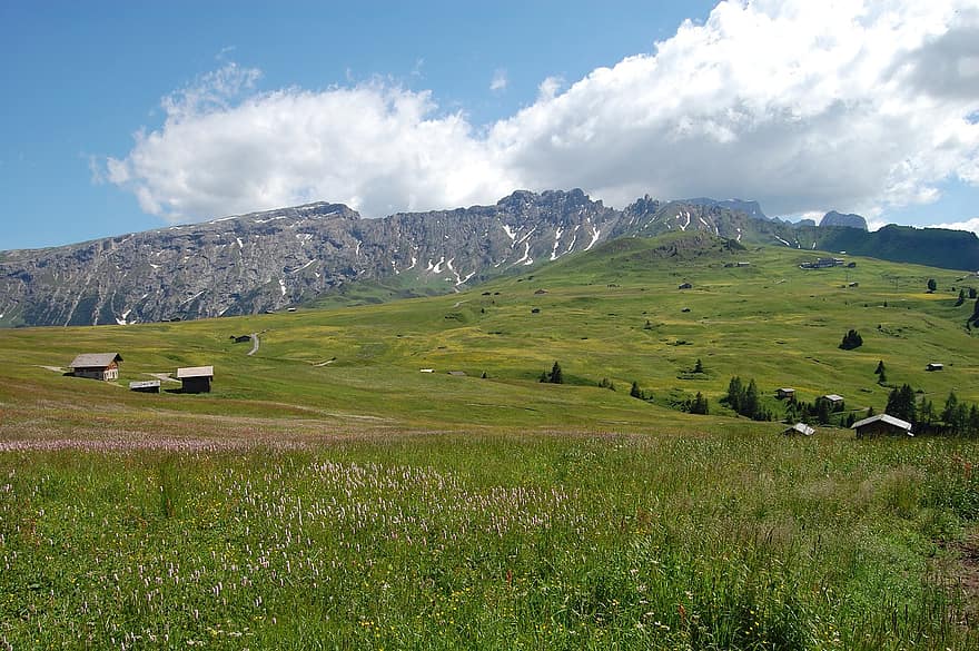 Berge, Alpen, Hütte, Italien, Seiser Alm, Natur