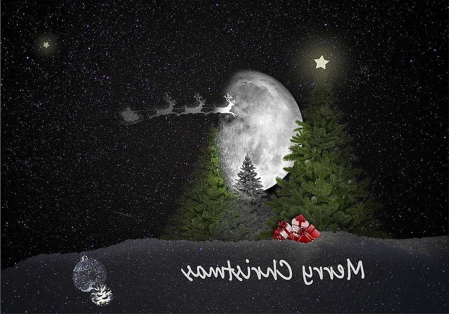 Weihnachten, Weihnachtskarte, Ferien, Schnee, Winter, festlich, Star, Sternchen, Stimmung, Tanne, Weihnachtsbaum