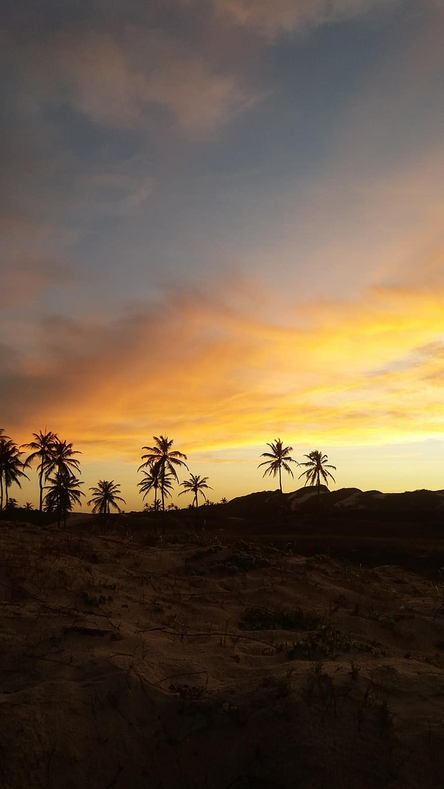 solnedgang, palmer, sand, silhouette, himmel, skyer, trær, tropisk, kyst, landskap, natur