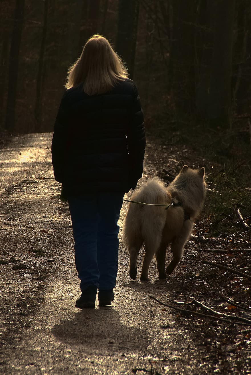 mujer, perro, caminar, mascota, compañero, amigos, mascotas, bosque, para caminar, otoño, hombres