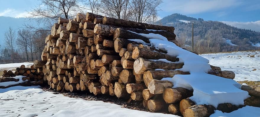 trä, loggar, bole, ved, Pieces of Timber, vedtrave, trä-, timmer, skogsbruk, textur, avskogning