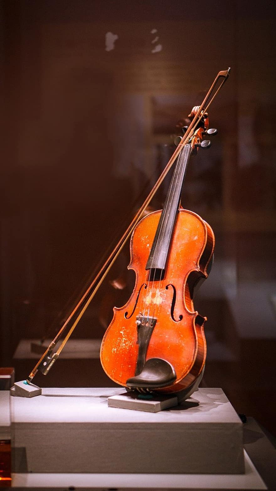 fiol, musik instrument, museum