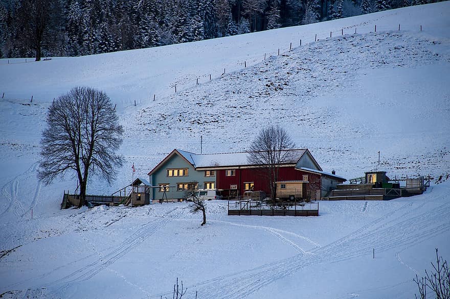 casa, invierno, temporada, Appenzell, Suiza, montañas, nieve, montaña, hielo, paisaje, pista de esquí