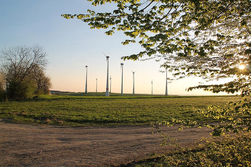 vindmøller, trær, felt, gress, Grovfôr, eng, vindturbiner, turbiner, fornybar energi, vindkraft, teknologi
