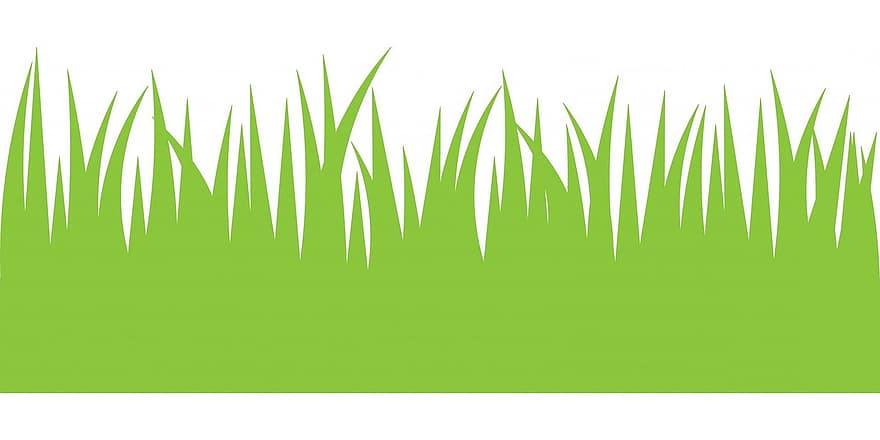 Green Grass, Grass, Green, White, Background, Art, Green Background