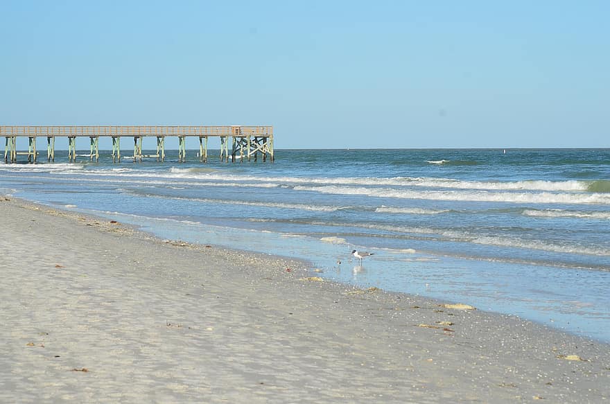 Redington Beach, florida, St. Petersburg, pir, vågor, vatten, hav, golf, natur, tropisk, semester