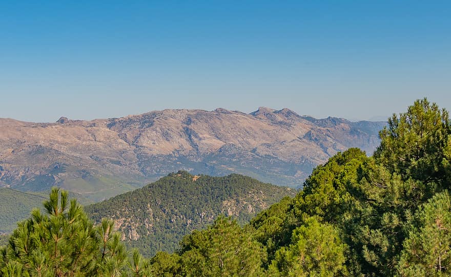 paysage, les montagnes, des arbres, feuillage, verdure, chaîne de montagnes, hauts plateaux, campagne, la nature, forêt, Sierra Del Segura