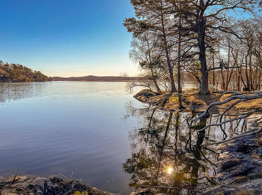 Nature, Trees, Outdoors, Lake, Stockholm, Sweden, Landscape, Sky, tree, water, forest