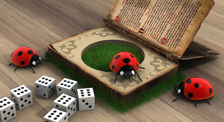 Ladybug, Secrets, Book Contents, Bugs, Book, Historically, Old Book, Antique, Middle Ages, Font, Antiquarian